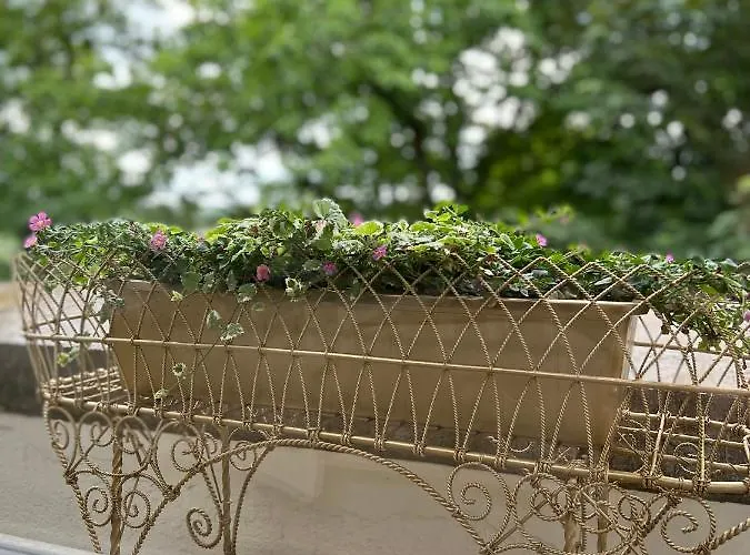 La Vigie, Bed & Breakfast Spa